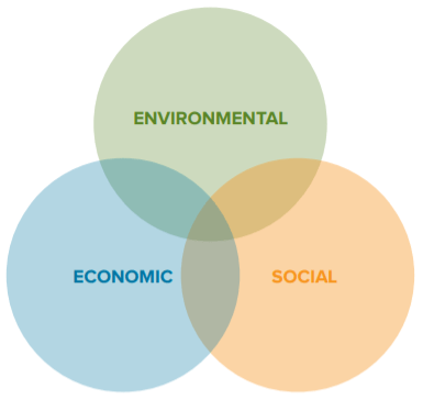 On the Road to A Sustainable Infrastructure: Part 1— Deﬁning Our ...